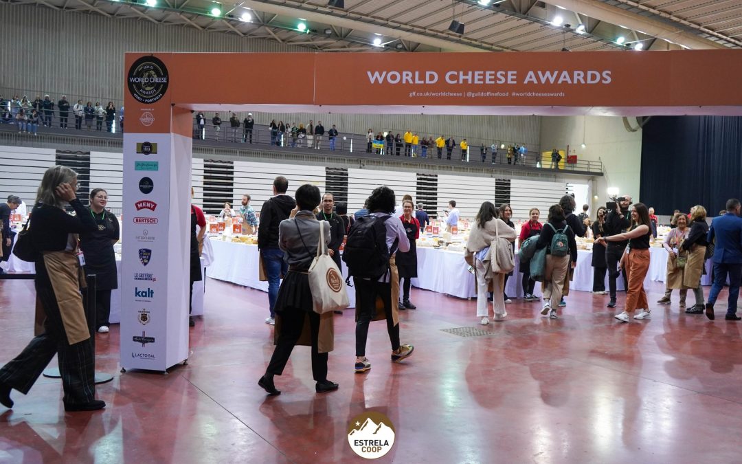 Dez queijarias da região foram distinguidas no “World Cheese Awards 2024”