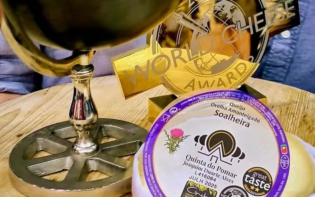 Amanteigado de ovelha da Gardunha: o “Melhor Queijo do Mundo” é português